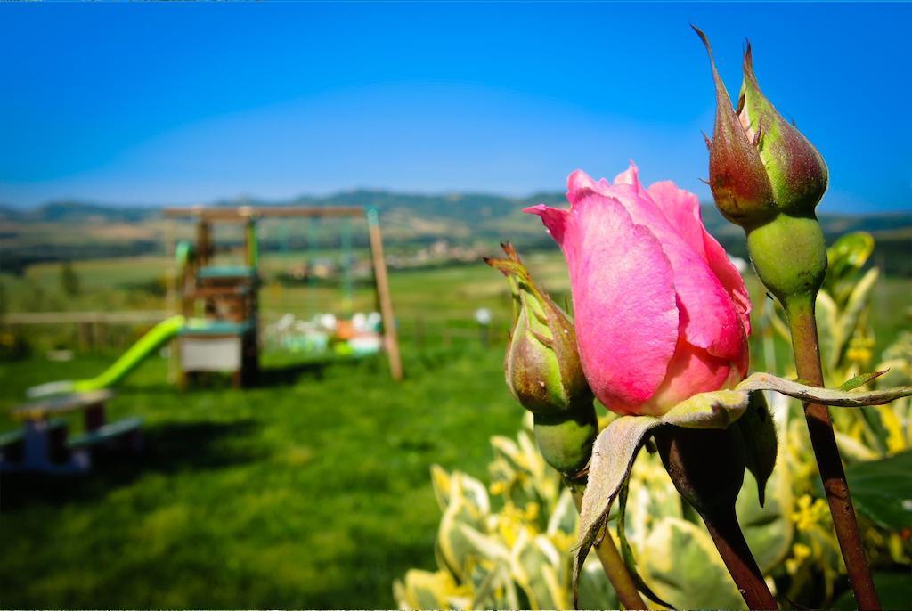 Agriturismo Il Canterino Guardistallo Eksteriør billede