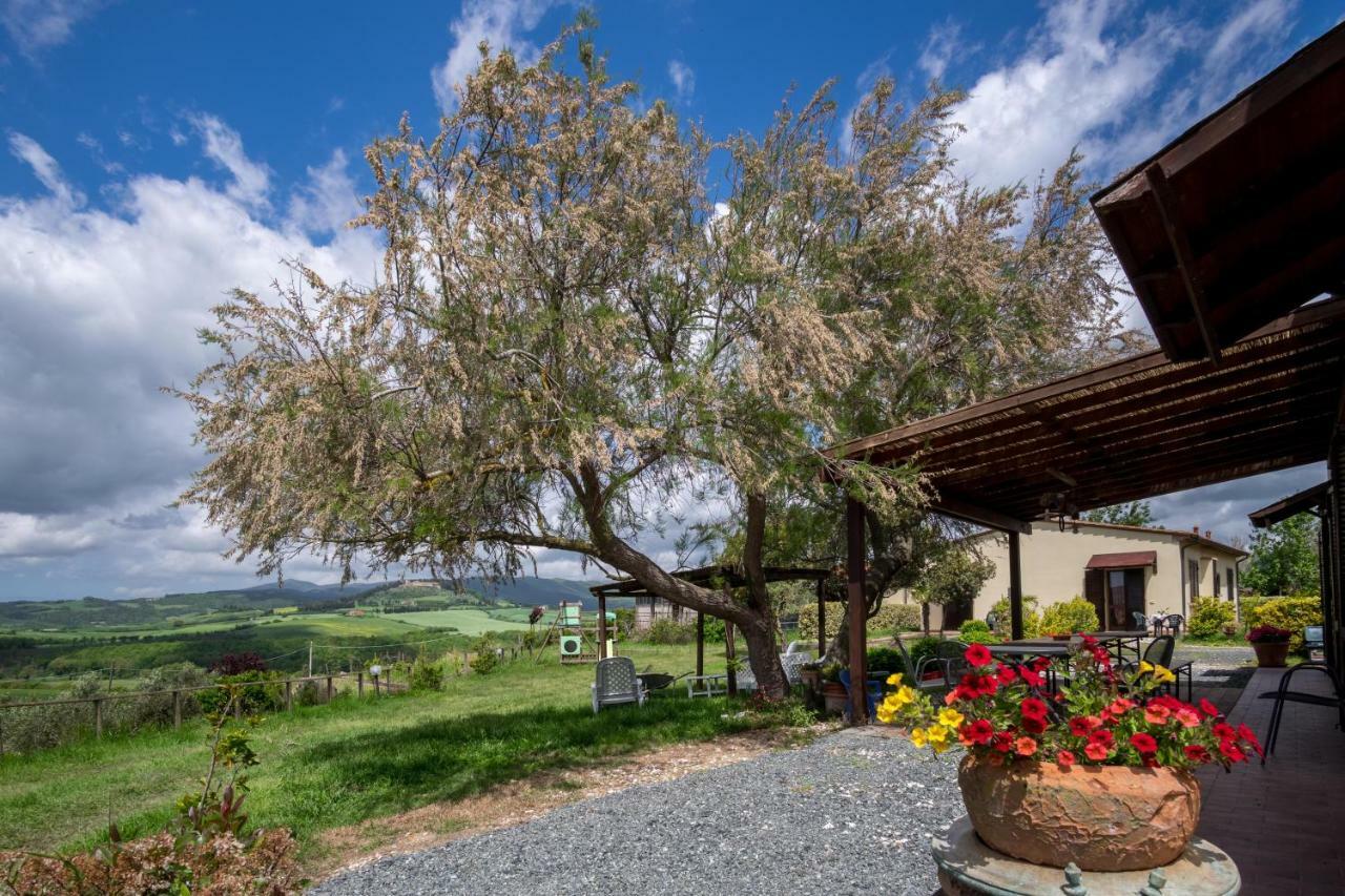Agriturismo Il Canterino Guardistallo Eksteriør billede
