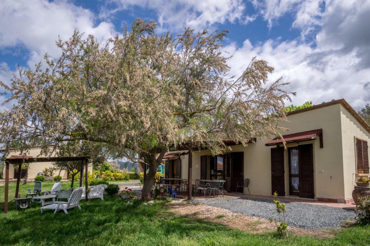 Agriturismo Il Canterino Guardistallo Eksteriør billede