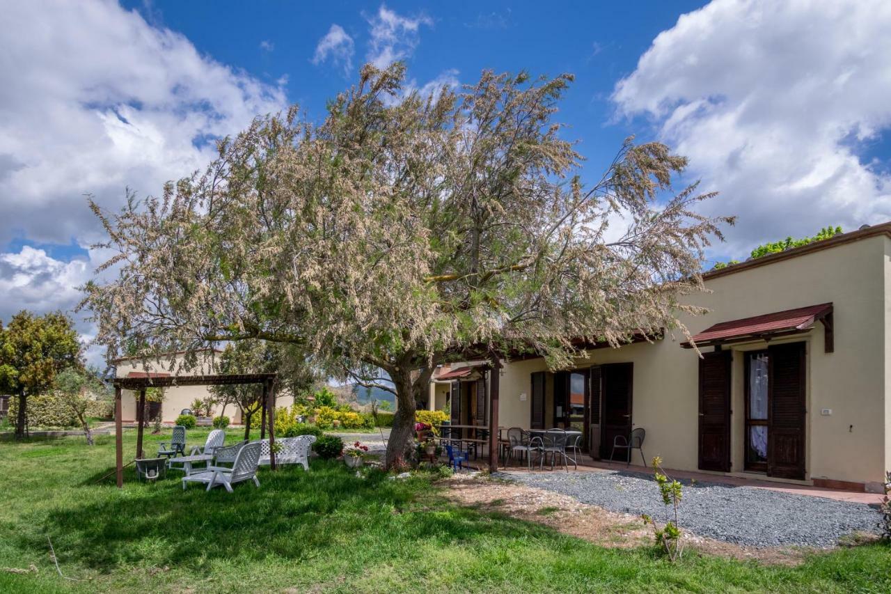 Agriturismo Il Canterino Guardistallo Eksteriør billede
